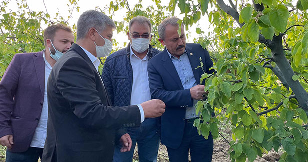 Milletvekili Tin, doludan zarar gören arazileri inceledi