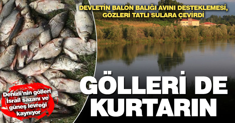 Balon balığı desteği gözleri tatlı sulardaki istilacı balıklara çevirdi: Denizlili oltacılar destek istedi