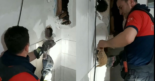 Bacada mahsur kalan kedi yavrusu kurtarıldı
