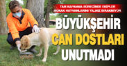 Büyükşehir can dostları unutmadı