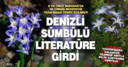 İki orman mühendisi tarafından Babadağ’da keşfedilen Denizli sümbülü, literatüre kazandırıldı