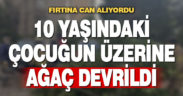 10 yaşındaki çocuğun üzerine ağaç devrildi