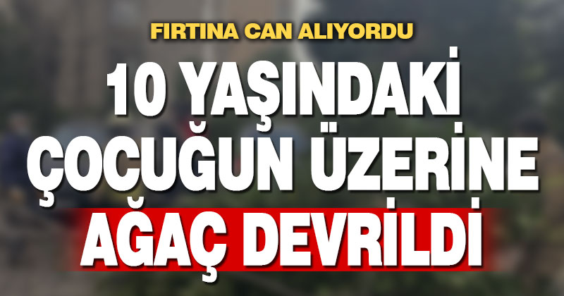 10 yaşındaki çocuğun üzerine ağaç devrildi
