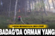 Babadağ’da 1 hektarlık alanda etkili olan orman yangını söndürüldü
