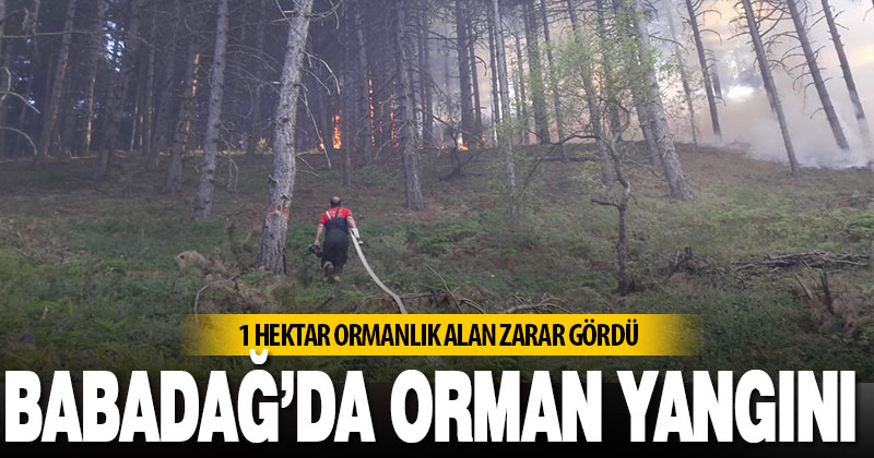 Babadağ’da 1 hektarlık alanda etkili olan orman yangını söndürüldü