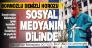 Sosyal medya, bir festival için tasarlanan ‘bornozlu horoz maskotu’ konuşuyor