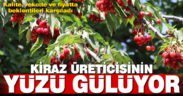 Tescilli Honaz kirazı bu sezon üreticisinin yüzünü güldürdü