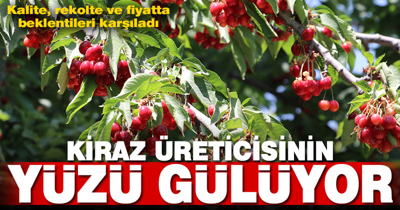 Tescilli Honaz kirazı bu sezon üreticisinin yüzünü güldürdü