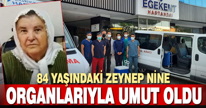 Beyin ölümü gerçekleşen 84 yaşındaki hastanın organı umut oldu