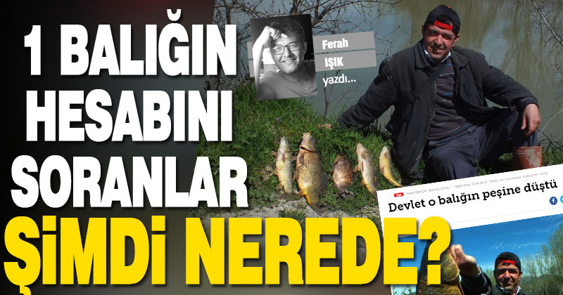 1 balığın hesabını soranlar şimdi nerede?