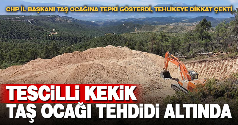 CHP İl Başkanı Çavuşoğlu: Tescilli kekik, taş ocağı tehdidi altında