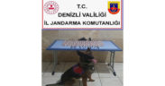 Jandarmadan uyuşturucu operasyonu