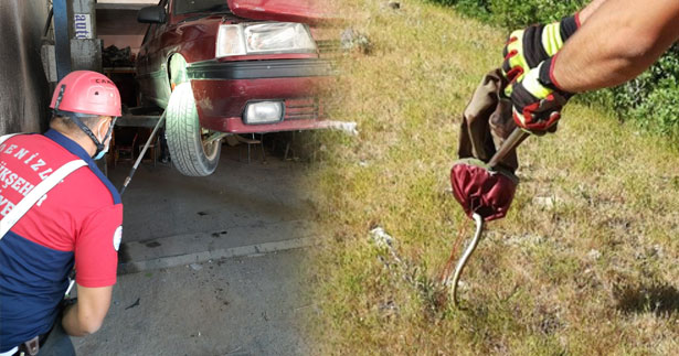 Aracın motor kısmına sıkışan yılanı itfaiye çıkardı