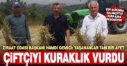 Ziraat Odası Başkanı Gemici, kuraklığın vurduğu bölgelerin afet bölgesi ilan edilmesini istedi