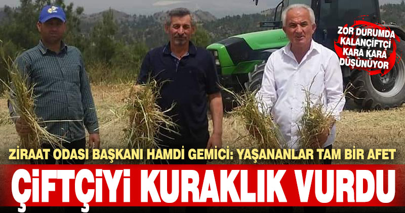 Ziraat Odası Başkanı Gemici, kuraklığın vurduğu bölgelerin afet bölgesi ilan edilmesini istedi