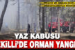 Denizli’de 3 dekarlık alanda etkili olan orman yangını söndürüldü