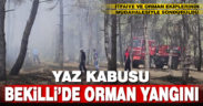 Denizli’de 3 dekarlık alanda etkili olan orman yangını söndürüldü