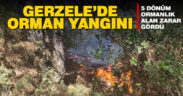 Gerzele’de orman yangını: 5 dönüm alan zarar gördü