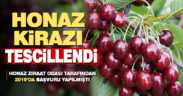 2019’da başvurusu yapılan Honaz kirazı tescillendi