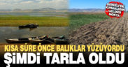 Kısa süre önce balıkları yüzdüğü göl tarlaya döndü