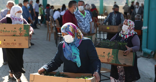 Merkezefendi’den üreticiye 200 bin fide desteği