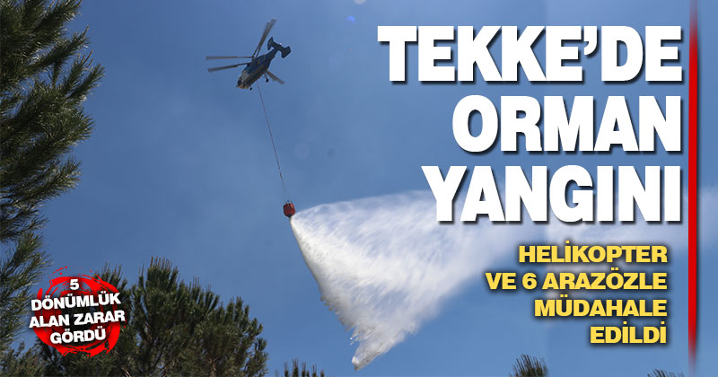 Tekke Mahallesi’ndeki orman yangınında 5 dönüm alan zarar gördü
