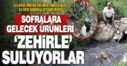Sulama parası ödeyen çiftçiye fabrika atığı su diye verildi