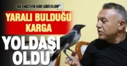 Denizlili sağlık memuru Mehmet Çolak sokakta yaralı bulduğu kargayı evinde tedavi etti