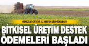 Denizli’deki çiftçiye 52 milyon TL bitkisel destek ödemesi yapılacak