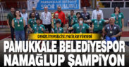 Pamukkale Belediyespor 2. ligde