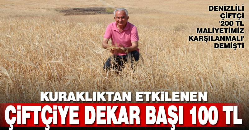 Kuraklıktan etkilenen çiftçiye dekar başına 100 TL