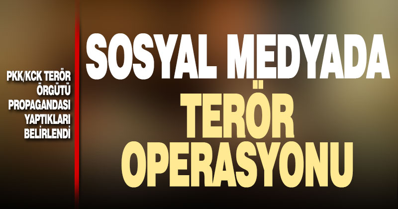 Sosyal medyada terör propagandasında 2 gözaltı