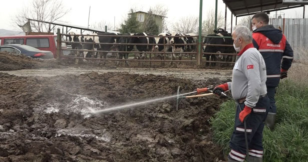 Pamukkale’de besihaneciler ilaçlama hizmetinden memnun