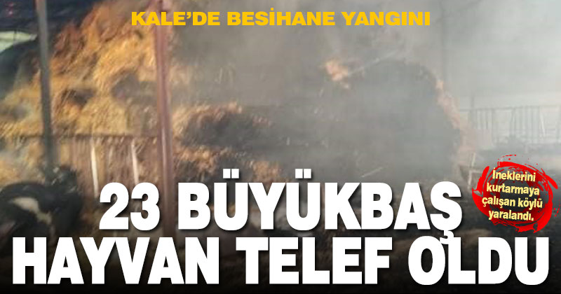 Kale’deki besihane yangınında 23 büyükbaş telef oldu