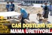 Merkezefendi, atık gıdalardan ayda 4.5 ton mama üretiyor
