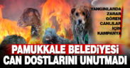 Pamukkale Belediyesi can dostları için kampanya düzenledi