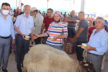 Çal hayvan pazarında hareketlilik başladı