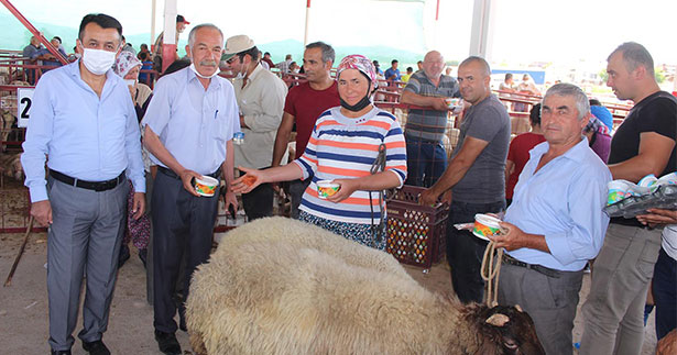 Çal hayvan pazarında hareketlilik başladı
