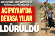 Acıpayam’da eve giren devasa yılan öldürüldü