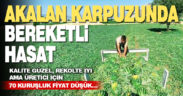 Lezzetiyle damaklarda yer eden Akalan karpuzunda hasat başladı, üretici fiyattan memnun değil