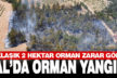 Çal’da orman yangını