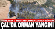 Çal’da orman yangını