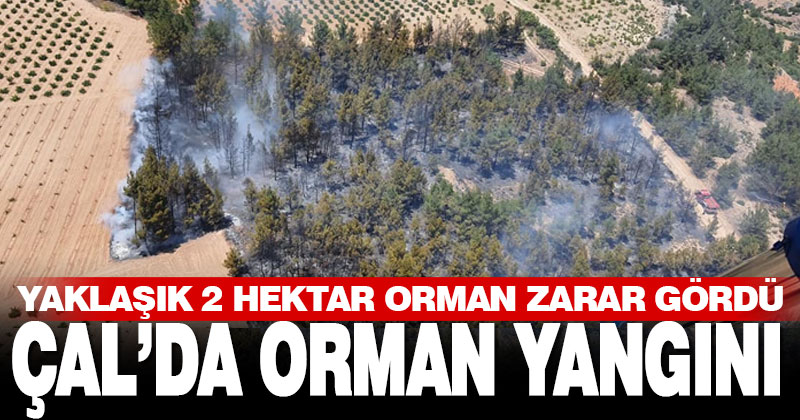Çal’da orman yangını