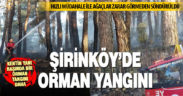 Şirinköy’de başlayan orman yangını, hızlı müdahale ile büyümeden söndürüldü