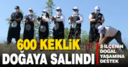 Denizli’de doğaya 600 keklik salındı