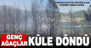 Acıpayam Suçatı’da çıkan yangında 15 dekar orman zarar gördü