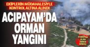 Acıpayam’da orman yangını