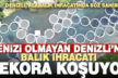 Ülkenin alabalık ihtiyacının yüzde 80’ini tek başına karşılayan Denizli, ihracatta da rekora koşuyor