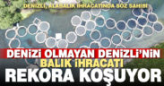 Ülkenin alabalık ihtiyacının yüzde 80’ini tek başına karşılayan Denizli, ihracatta da rekora koşuyor