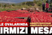 Kale ovalarında “kırmızı” mesaisi başladı